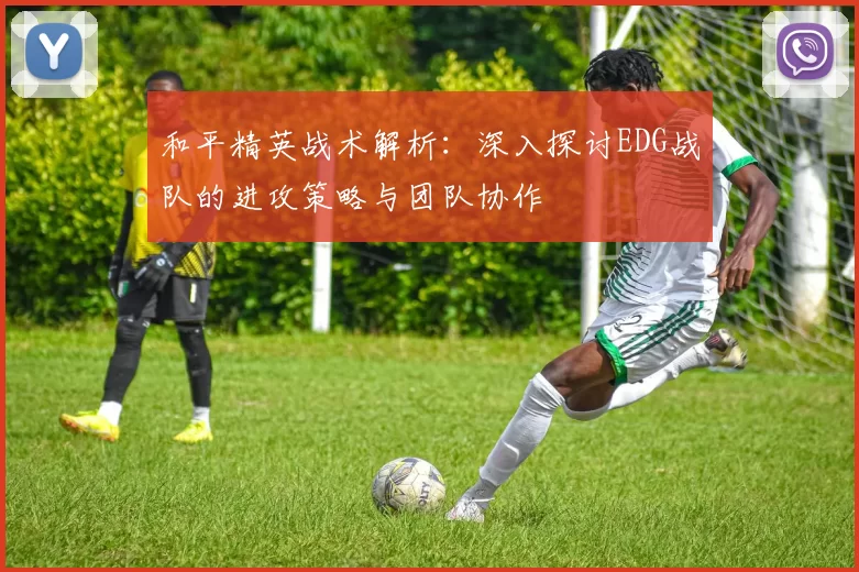 和平精英战术解析：深入探讨EDG战队的进攻策略与团队协作