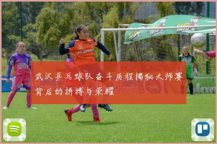 武汉乒乓球队奋斗历程揭秘大师赛背后的拼搏与荣耀