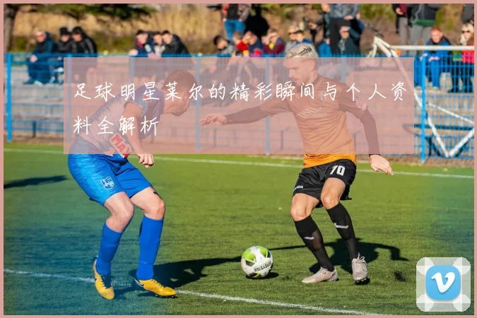 足球明星莱尔的精彩瞬间与个人资料全解析