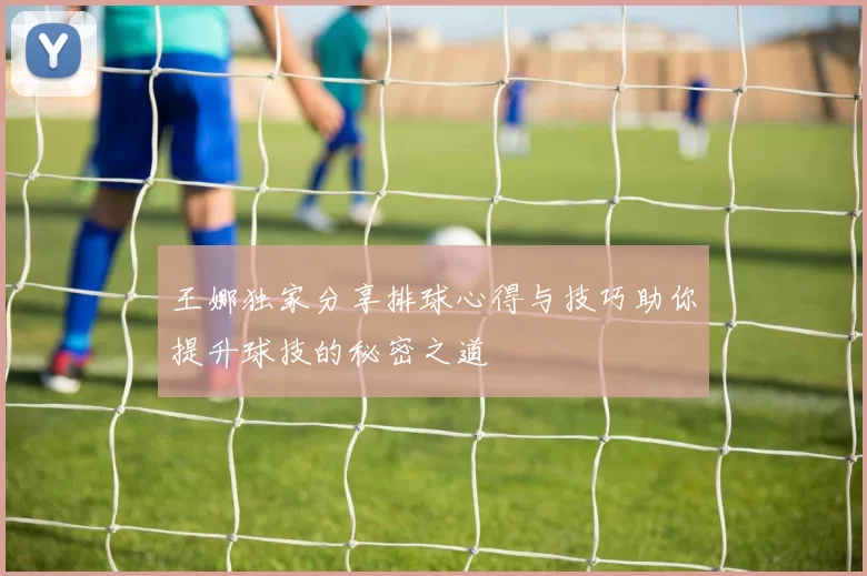 王娜独家分享排球心得与技巧助你提升球技的秘密之道